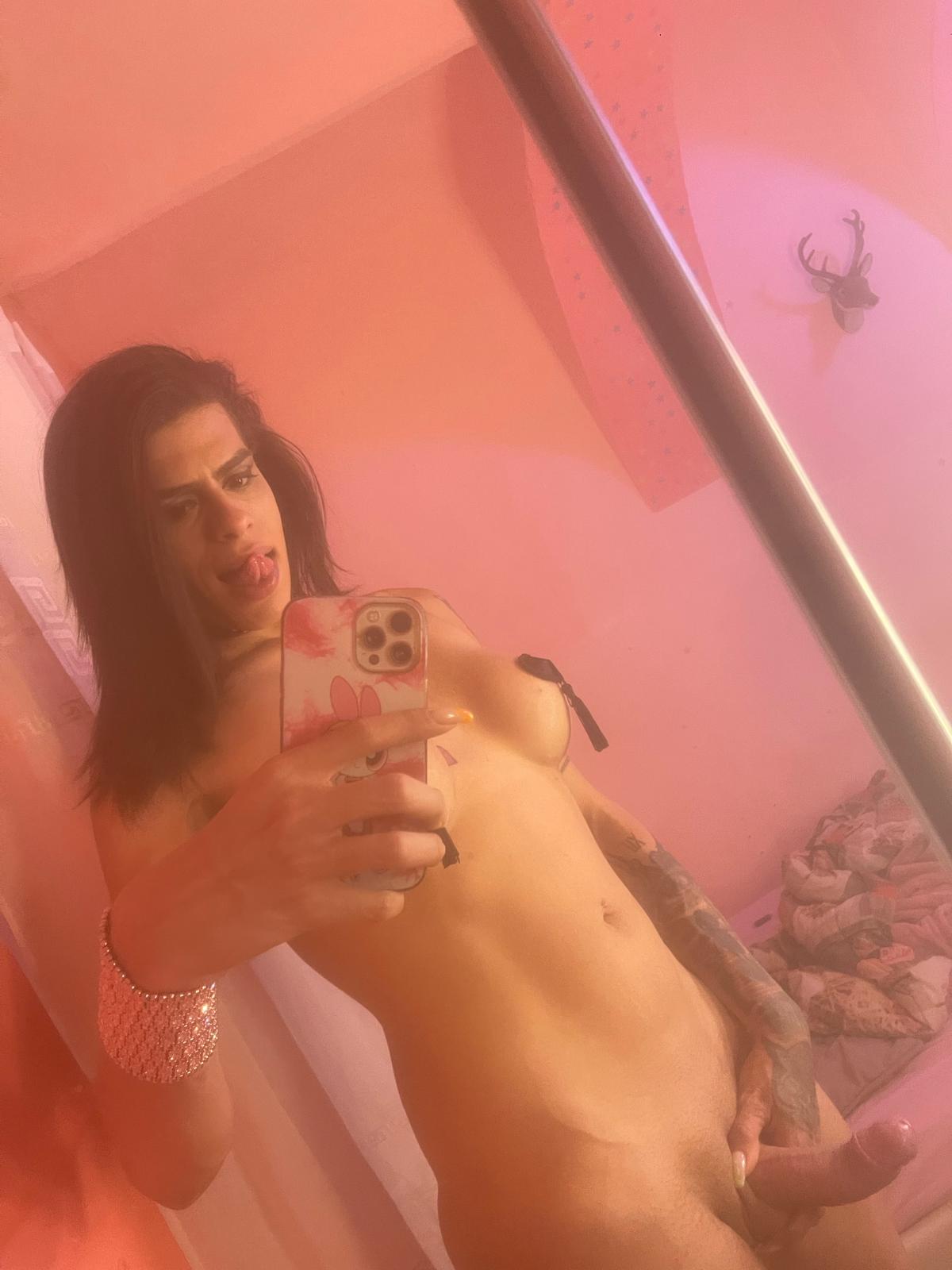  TRANS A ROMAA